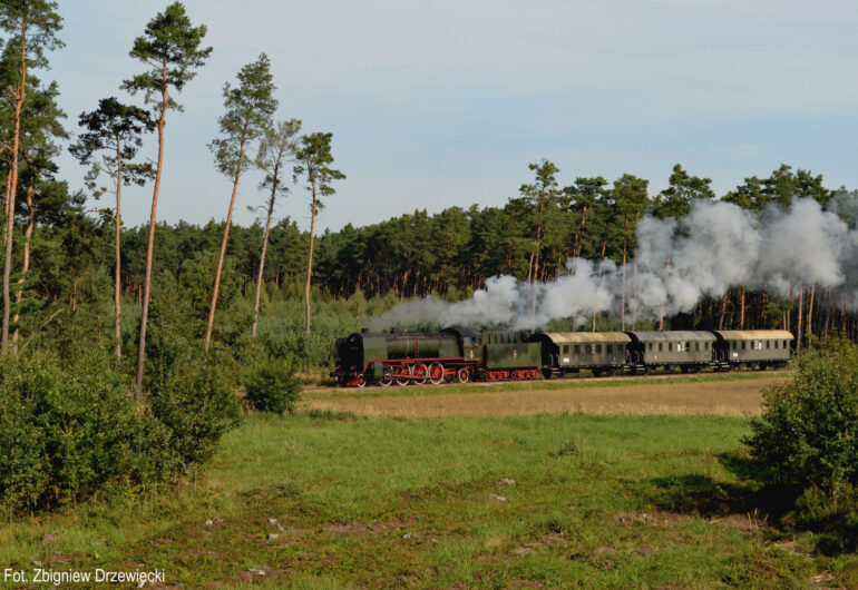 Parowóz Pt47-65 z pociągiem retro pomiędzy stacjami Kębłowo i Świętno